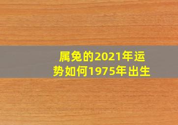 属兔的2021年运势如何1975年出生