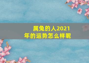 属兔的人2021年的运势怎么样呢