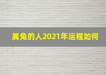 属兔的人2021年运程如何