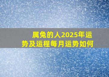 属兔的人2025年运势及运程每月运势如何