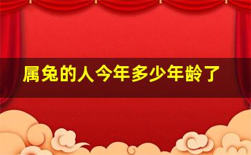 属兔的人今年多少年龄了