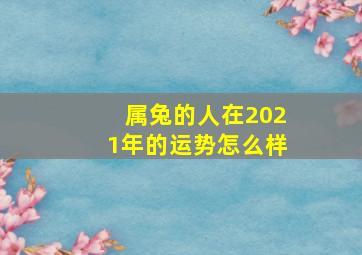 属兔的人在2021年的运势怎么样