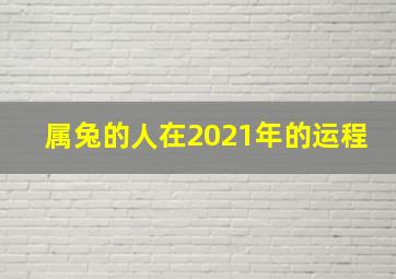 属兔的人在2021年的运程