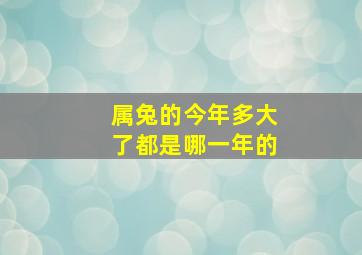 属兔的今年多大了都是哪一年的