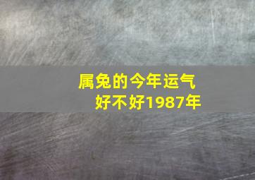 属兔的今年运气好不好1987年