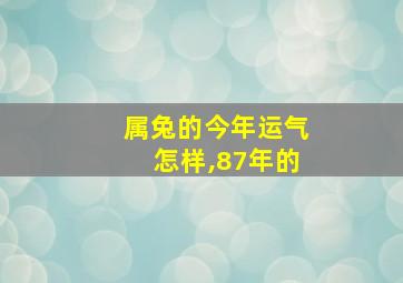 属兔的今年运气怎样,87年的