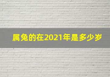 属兔的在2021年是多少岁