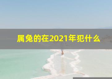 属兔的在2021年犯什么