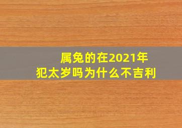 属兔的在2021年犯太岁吗为什么不吉利