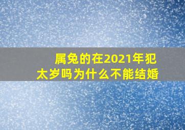 属兔的在2021年犯太岁吗为什么不能结婚