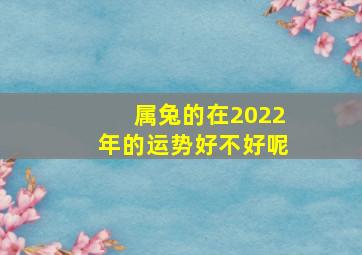 属兔的在2022年的运势好不好呢