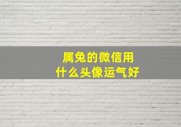 属兔的微信用什么头像运气好