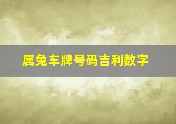 属兔车牌号码吉利数字