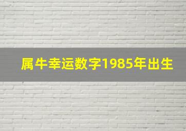 属牛幸运数字1985年出生