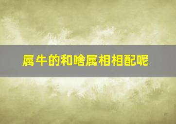 属牛的和啥属相相配呢