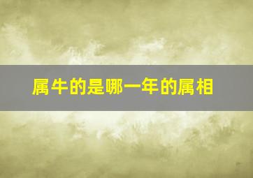 属牛的是哪一年的属相