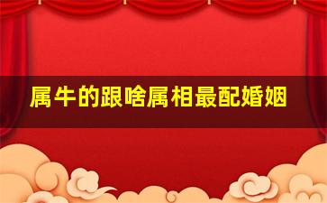 属牛的跟啥属相最配婚姻