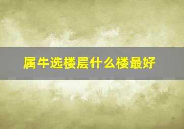 属牛选楼层什么楼最好