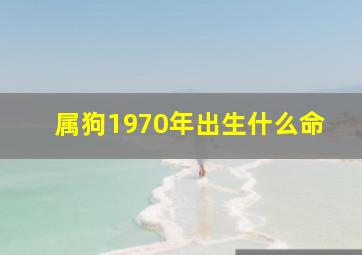 属狗1970年出生什么命