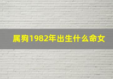 属狗1982年出生什么命女