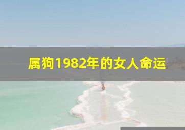 属狗1982年的女人命运