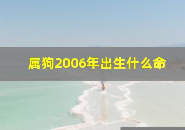 属狗2006年出生什么命