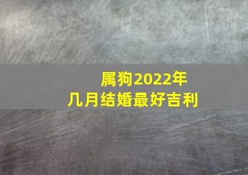 属狗2022年几月结婚最好吉利