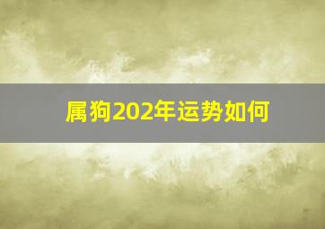 属狗202年运势如何