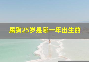 属狗25岁是哪一年出生的