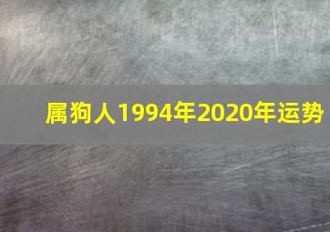 属狗人1994年2020年运势