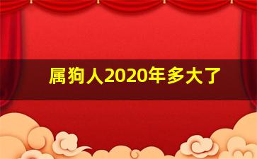 属狗人2020年多大了