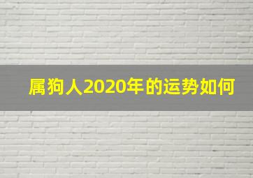 属狗人2020年的运势如何