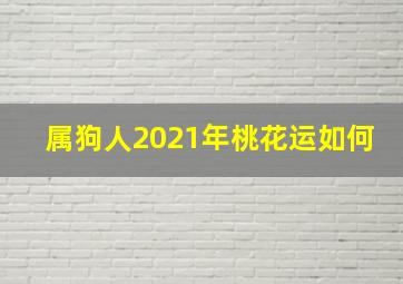 属狗人2021年桃花运如何