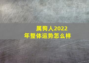 属狗人2022年整体运势怎么样