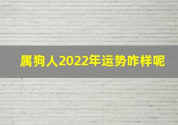 属狗人2022年运势咋样呢