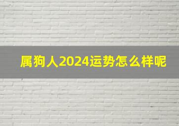 属狗人2024运势怎么样呢