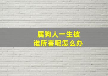 属狗人一生被谁所害呢怎么办