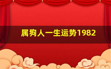 属狗人一生运势1982