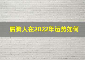 属狗人在2022年运势如何