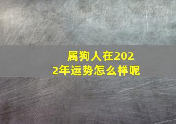 属狗人在2022年运势怎么样呢