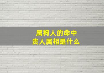 属狗人的命中贵人属相是什么