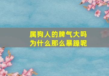 属狗人的脾气大吗为什么那么暴躁呢