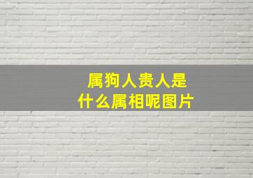 属狗人贵人是什么属相呢图片