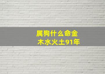 属狗什么命金木水火土91年