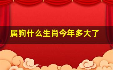 属狗什么生肖今年多大了