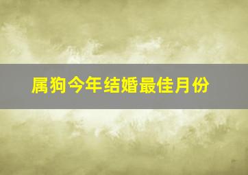 属狗今年结婚最佳月份