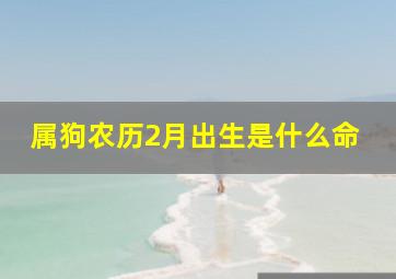 属狗农历2月出生是什么命