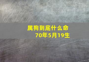 属狗到底什么命70年5月19生