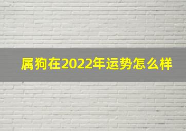 属狗在2022年运势怎么样