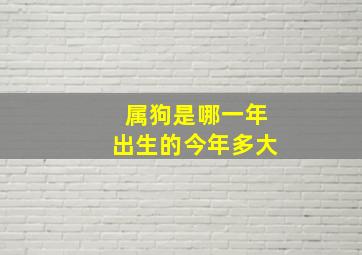 属狗是哪一年出生的今年多大